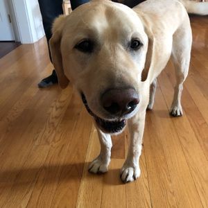 Meet your Posher, Emma